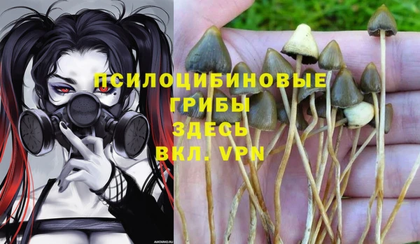 бошки Абаза