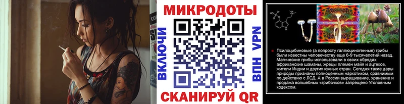 Псилоцибиновые грибы Psilocybine cubensis  Уварово 