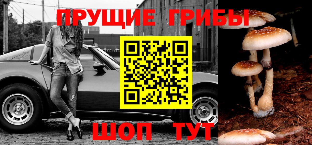 Псилоцибиновые грибы Уварово