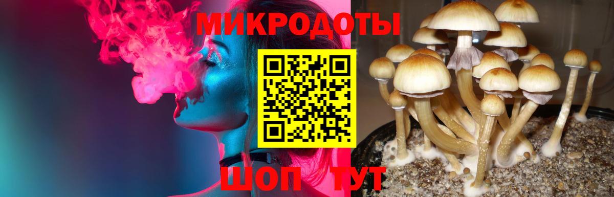Псилоцибиновые грибы прущие грибы  Вход с VPN  сколько стоит  Уварово  Псилоцибиновые грибы мицелий 